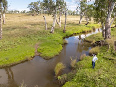 Property "White Gums" 7 Costello Road, Oakey QLD 4401 IMAGE 0