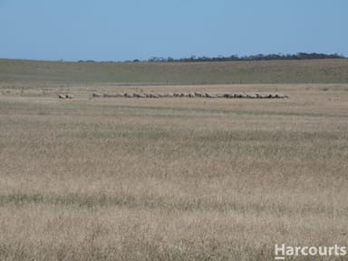 Property Yarto - Speed Road Speed Road, Patchewollock VIC 3491 IMAGE 0