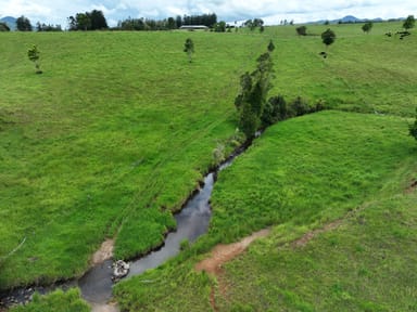 Property 210 Pheasant Road, Millaa Millaa QLD 4886 IMAGE 0