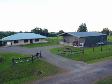 Property MILLAA MILLAA QLD 4886 IMAGE 0