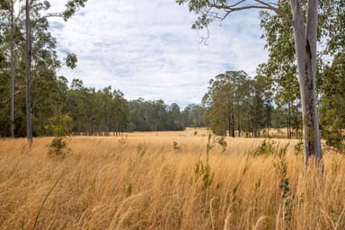 Property 90 Cheers Road, MELINGA NSW 2430 IMAGE 0