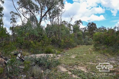 Property 2361 Torrington Road, TORRINGTON NSW 2371 IMAGE 0