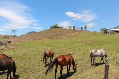 Property KNAPP CREEK QLD 4285 IMAGE 0