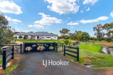 Property 20 Hebrides Close, QUINDALUP WA 6281 IMAGE 0