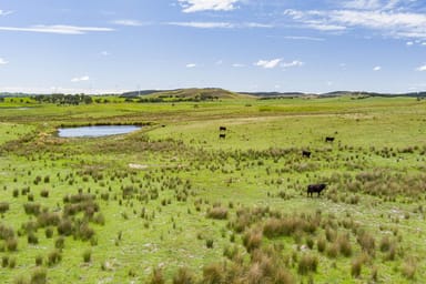 Property 30 Blighs Lane, GOULBURN NSW 2580 IMAGE 0