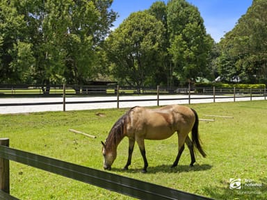 Property 14 Adcocks Road, Stokers Siding NSW 2484 IMAGE 0