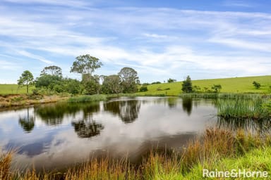 Property 55 Greenmeadow Lane, NOWRA HILL NSW 2540 IMAGE 0