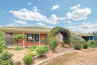 Property 357 Virgo Road, Waikerie SA 5330 IMAGE 0