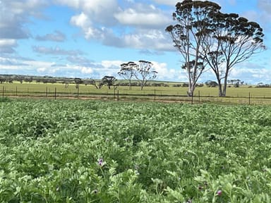 Property . 'Gardens', Shackleton WA 6386 IMAGE 0