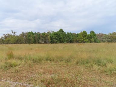 Property Lot 2 Cosmo Lane, COTTONVALE QLD 4375 IMAGE 0