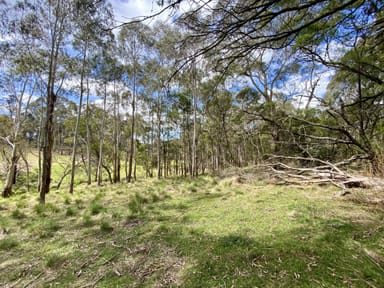 Property 2 Wilson Lane, MAJORS CREEK NSW 2622 IMAGE 0