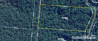 Property Lot 246 White Beech Road, Cow Bay QLD 4873 IMAGE 0