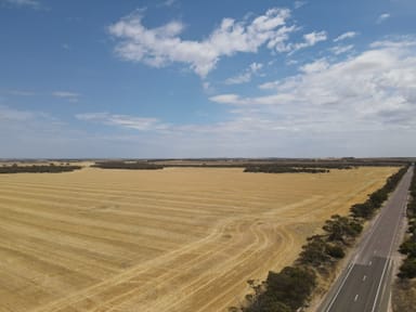 Property 'Raysons' Section 1 & 28 Eyre Highway, Solomon SA 5641 IMAGE 0