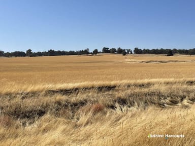 Property . Ramsay Road, BROOKTON WA 6306 IMAGE 0