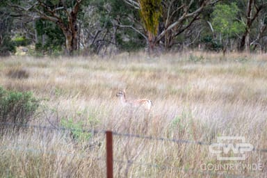 Property 82, 4108 Tent Hill Road, EMMAVILLE NSW 2371 IMAGE 0