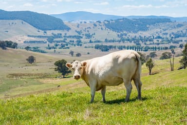 Property "Tom's" Tallys Lane, Tallangatta Valley VIC 3701 IMAGE 0