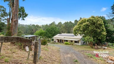 Property 20 Drakes Road, Allambee South VIC 3871 IMAGE 0