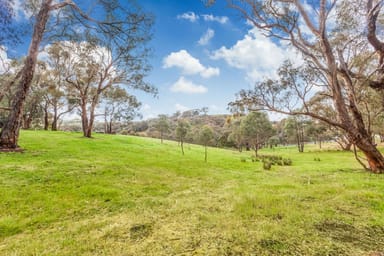 Property 825 Strath Creek Road, Tyaak VIC 3658 IMAGE 0