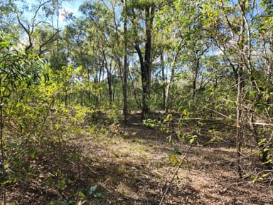 Property Lot 5 Duckpond Road, MOOLBOOLAMAN QLD 4671 IMAGE 0