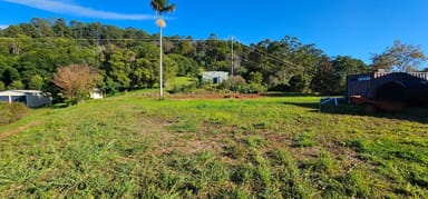 Property 1005 Tuntable Creek Road, Tuntable Creek NSW 2477 IMAGE 0