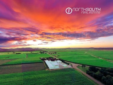 Property 752 Pimpama Jacobs Well Road, Norwell QLD 4208 IMAGE 0