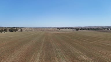 Property 'Ryans' Archie Road, Murray Town SA 5481 IMAGE 0