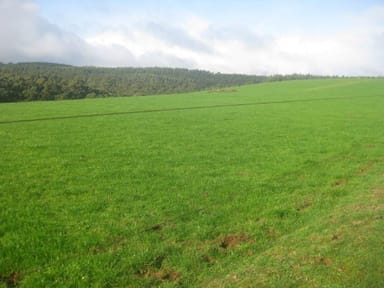 Property Lot 2 Trowutta Road, Edith Creek TAS 7330 IMAGE 0