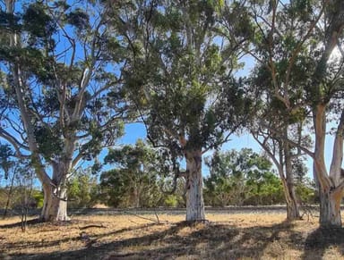 Property 20 Landon Street, Wyening WA 6568 IMAGE 0