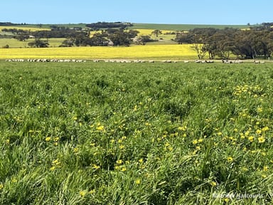 Property . 'Yooralling', CUNDERDIN WA 6407 IMAGE 0