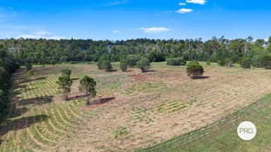 Property 98 Old Mill Road, Yengarie QLD 4650 IMAGE 0