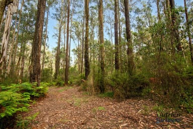 Property 547 Ogradys Road, PHEASANT CREEK VIC 3757 IMAGE 0