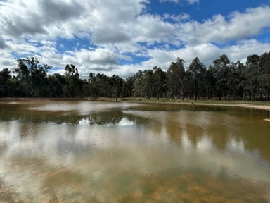 Property 95 Granite Road, Lurg VIC 3673 IMAGE 0