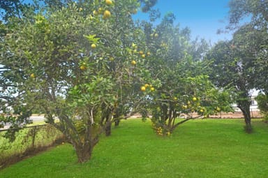 Property 21 Hynes Street, South Johnstone QLD 4859 IMAGE 0