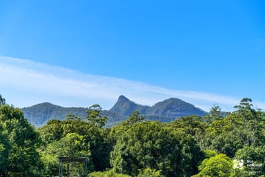 Property 2, 1 Coodgie Street, Tyalgum NSW 2484 IMAGE 0