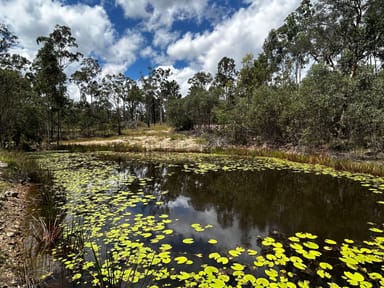 Property Drake NSW 2469 IMAGE 0