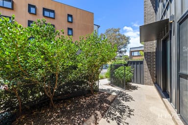 Property 31 Beechworth Street, Watson ACT 2602 IMAGE 0