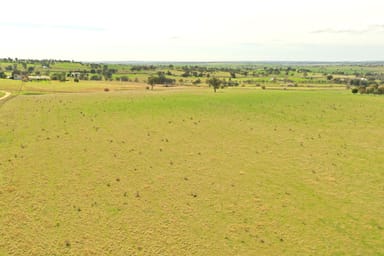 Property Cemetery Road, Murrumburrah NSW 2587 IMAGE 0