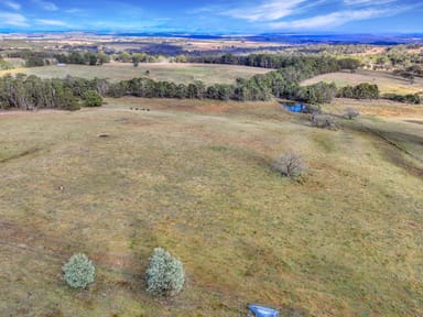 Property Lot 337 Bucky Springs Road, BOMBALA NSW 2632 IMAGE 0