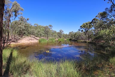 Property "Alaire" 161 Alaire Drive, ISLA QLD 4719 IMAGE 0