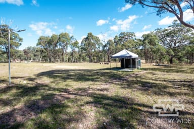 Property 532 Wellingrove Road, WELLINGROVE NSW 2370 IMAGE 0