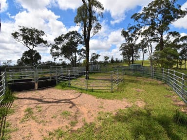 Property GOLDEN FLEECE, Golden Fleece QLD 4621 IMAGE 0