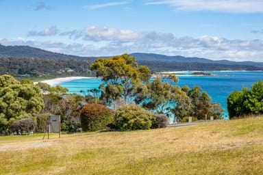 Property Wedge Court Wedge Court, Binalong Bay TAS 7216 IMAGE 0