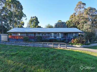 Property 11 Redenbach Court, Swan Reach VIC 3903 IMAGE 0
