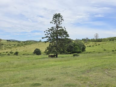 Property 35 Grahams Road, Cooyar QLD 4402 IMAGE 0