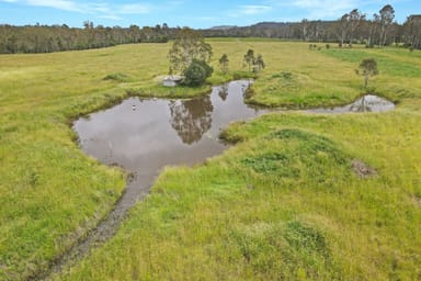 Property Lot 126 Blowers Road, Munna Creek QLD 4570 IMAGE 0