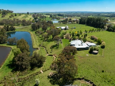 Property 'Koonardoo' 36 Darley Road, Orange NSW 2800 IMAGE 0