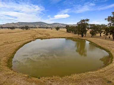 Property 145 Mahers Road, Violet Town VIC 3669 IMAGE 0