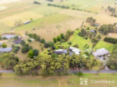 Property 38 Thompson Road, Drouin South VIC 3818 IMAGE 0