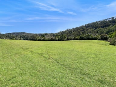 Property 19 Narone Creek Road, Wollombi NSW 2325 IMAGE 0