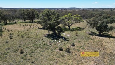 Property 2/1921 Barneys Reef Road, Gulgong NSW 2852 IMAGE 0